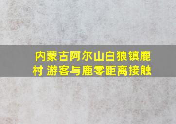 内蒙古阿尔山白狼镇鹿村 游客与鹿零距离接触